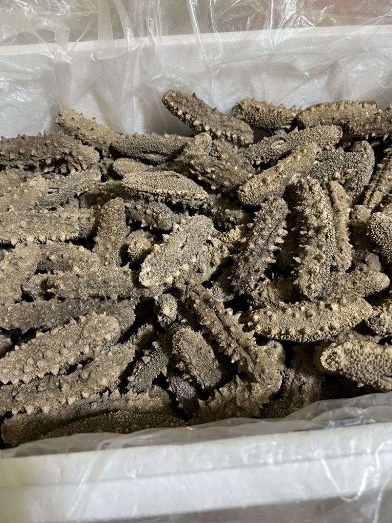 水洗淡干，自家加工，一手货源，高品质海参全国可发