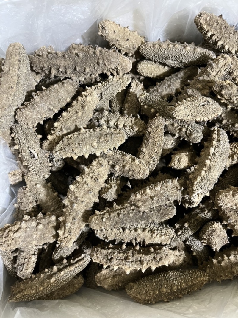 水洗淡干，自家加工，一手货源，高品质海参全国可发