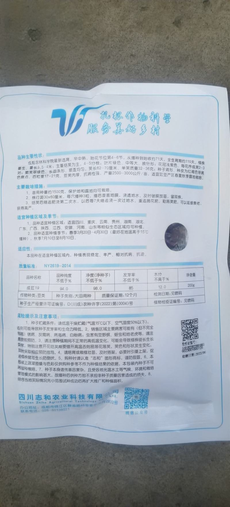 翠绿色豇豆种子成豇19早熟厚肉型条荚油亮顺直结荚密