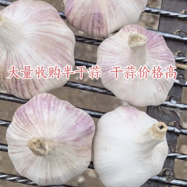 大混级，干蒜