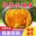 贝贝南瓜板栗南瓜小南瓜团购电商南瓜工厂养殖南瓜