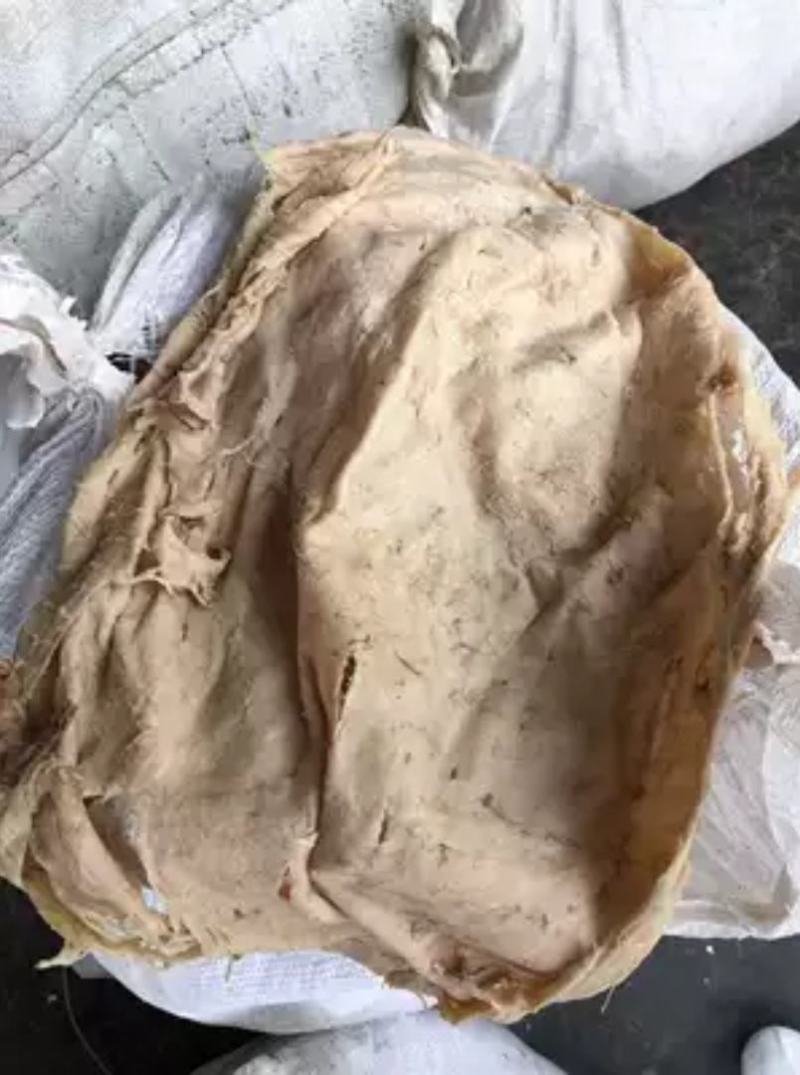 地板块整块毛肚梗子牛百叶牛毛肚块好吃不贵老板们可以省钱货