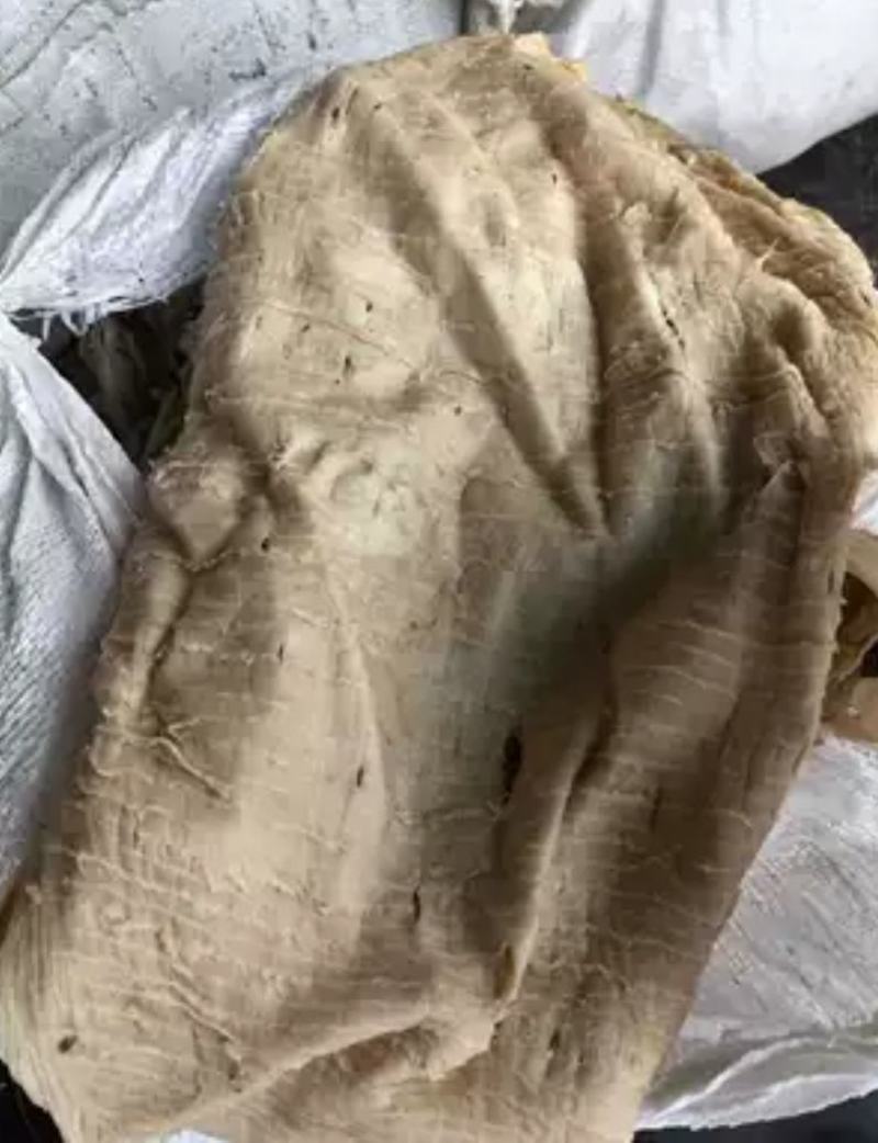 地板块整块毛肚梗子牛百叶牛毛肚块好吃不贵老板们可以省钱货