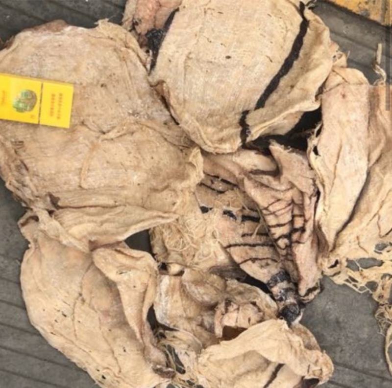地板块整块毛肚梗子牛百叶牛毛肚块好吃不贵老板们可以省钱货