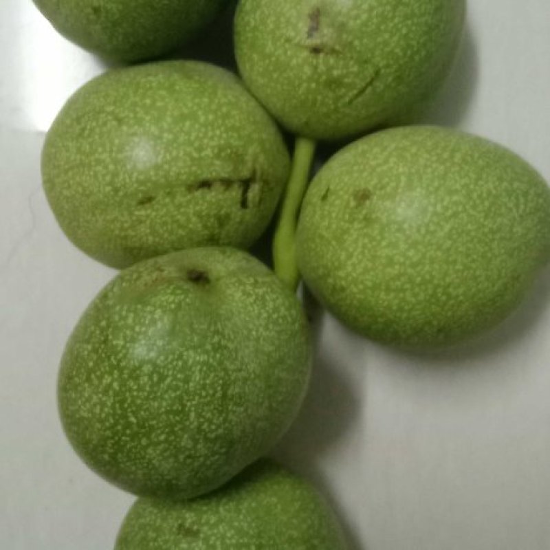 早熟，个大中林西伏和礼品青皮核桃大量上市了