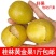 破壳罗汉果干果散装大果500g1斤装广西桂林永福特产泡茶