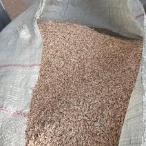 厂家除尘稻壳，当年新稻谷加工，适合做酒养殖，养殖当垫料用