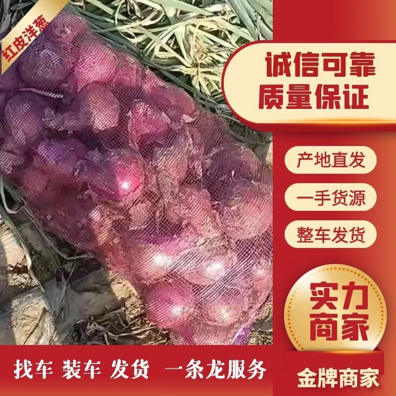 红皮洋葱，产地直销，量大从优，可以视频看货