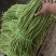 【推荐】长豆角，产地直供【市场】【加工厂】【电商】