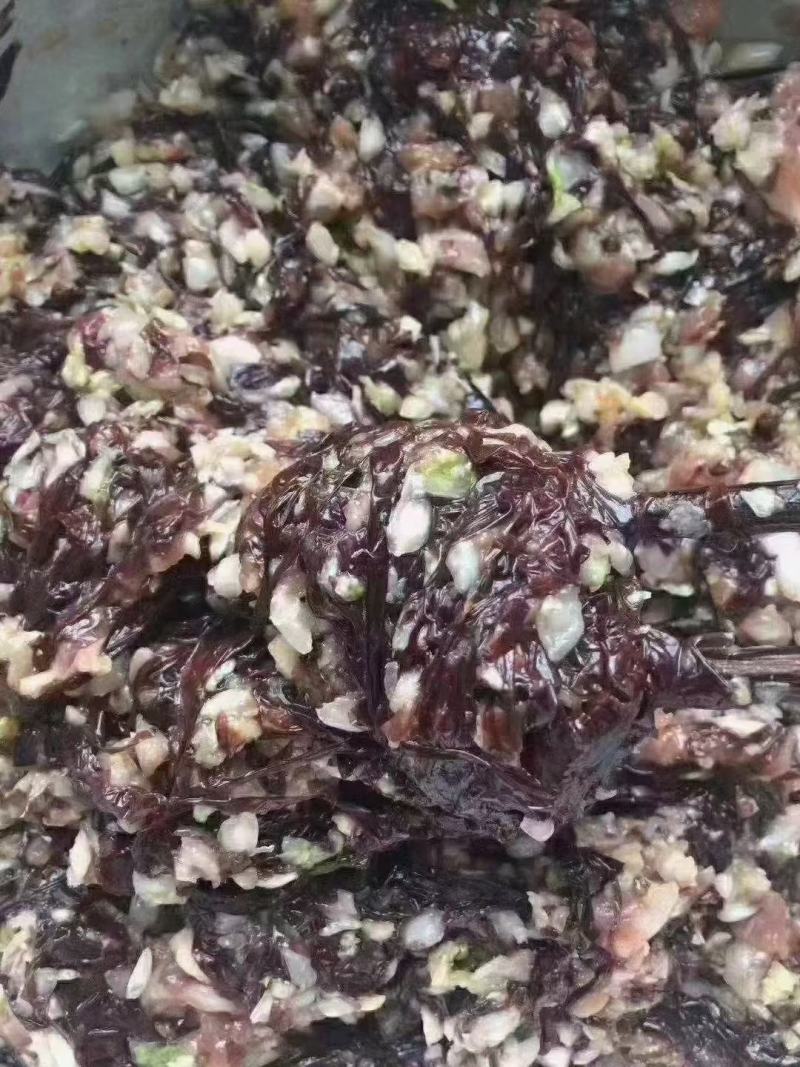 渤海湾长岛天然紫菜野生紫菜手工挑拣自然晾晒鲜美嫩滑