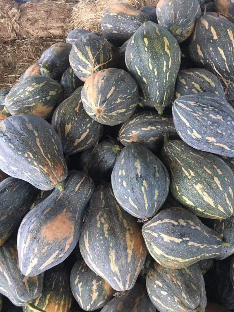 湖北香芋南瓜大量上市中，承接大型电商平台商场超市稳定供货