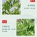 艾草新鲜正宗艾草艾叶长棵整株端午节挂门上野生整把全株艾草