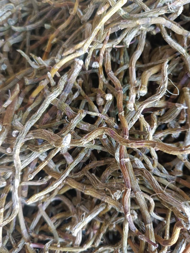铁皮石斛云南产地直销规格齐全实拍现货24小时内发货