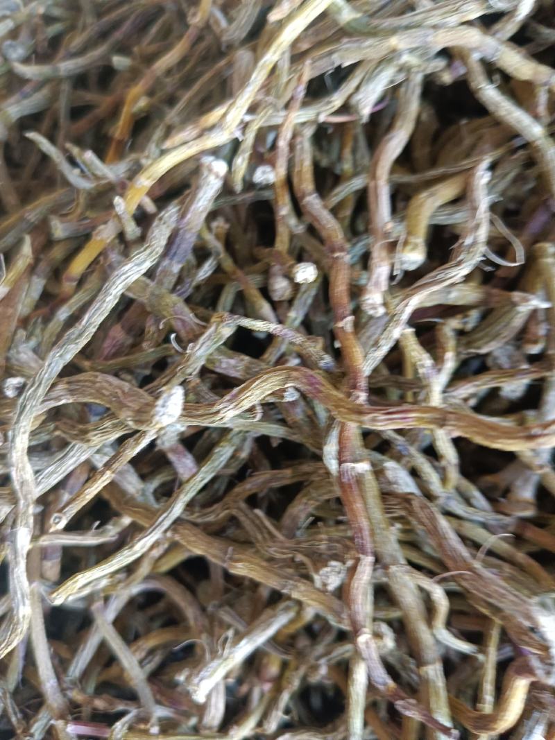 铁皮石斛云南产地直销规格齐全实拍现货24小时内发货