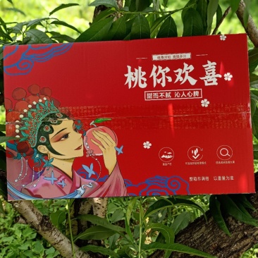 【直播电商代发】山东黄金油桃中油四号脆甜可口产地实力供货