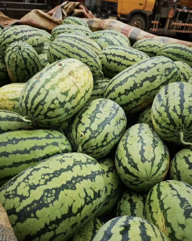 河南绿爽西瓜🍉大量上市新鲜采摘产地直发品质有保障