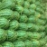 河南绿爽西瓜🍉大量上市新鲜采摘产地直发品质有保障