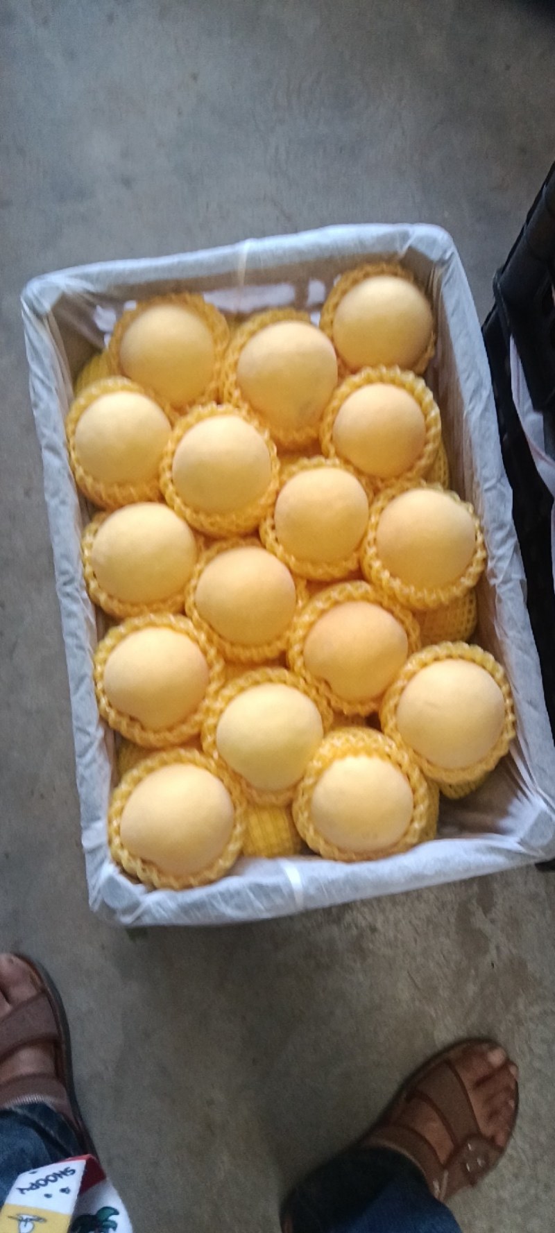 礼泉纸代油盘，毛桃，黄桃陆续上市。色泽亮丽，口味香甜。