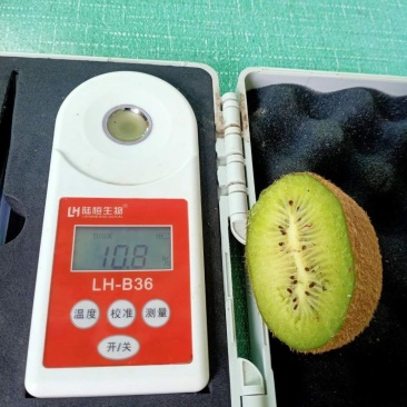 湘西绿心猕猴桃大量供应可按需精准克重分级（催熟）
