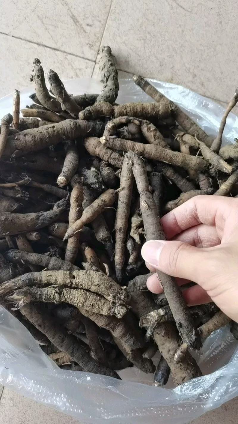 仙茅小粽根地棕根野生贵州地道药材鲜货干货当季新货