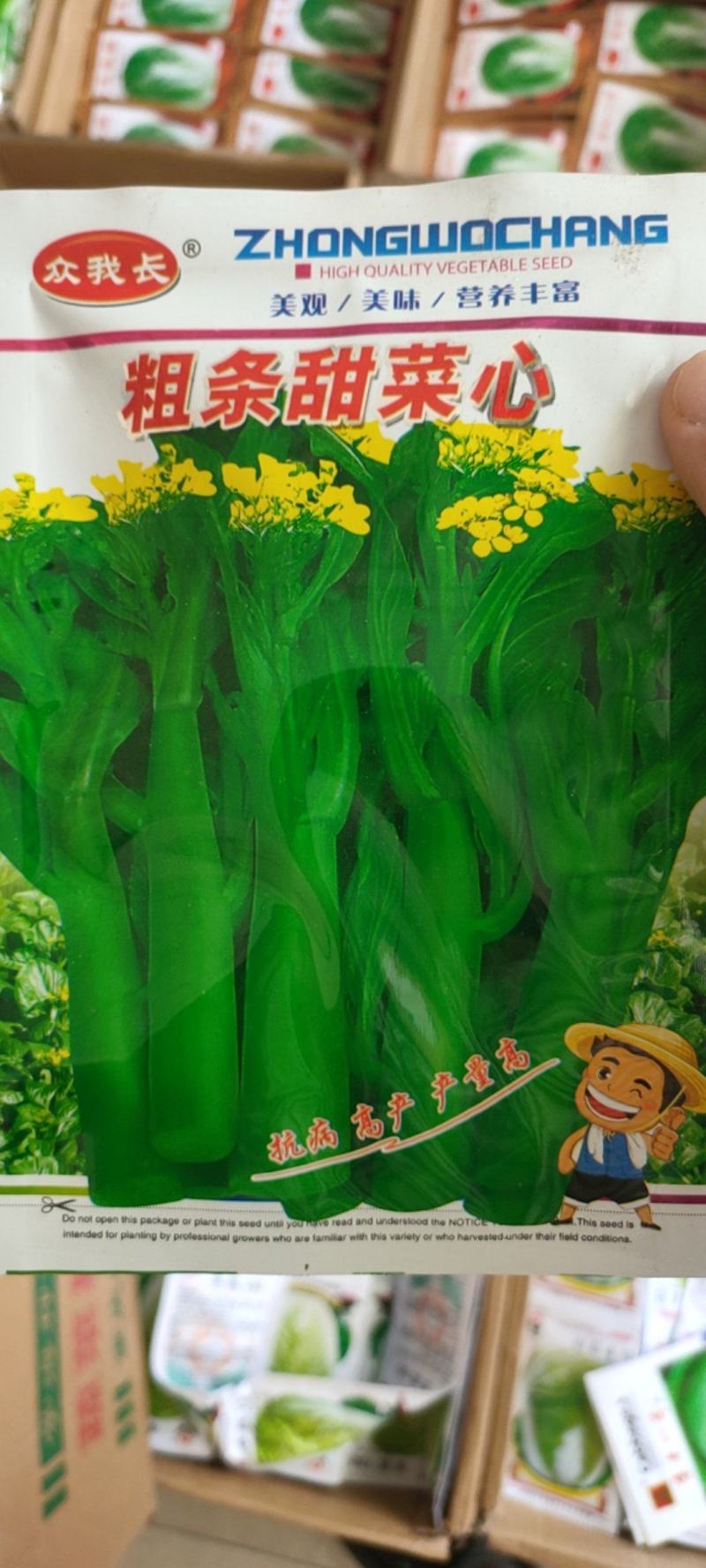 广东甜菜心种子粗菜心种子四季菜心种子甜菜苔种子
