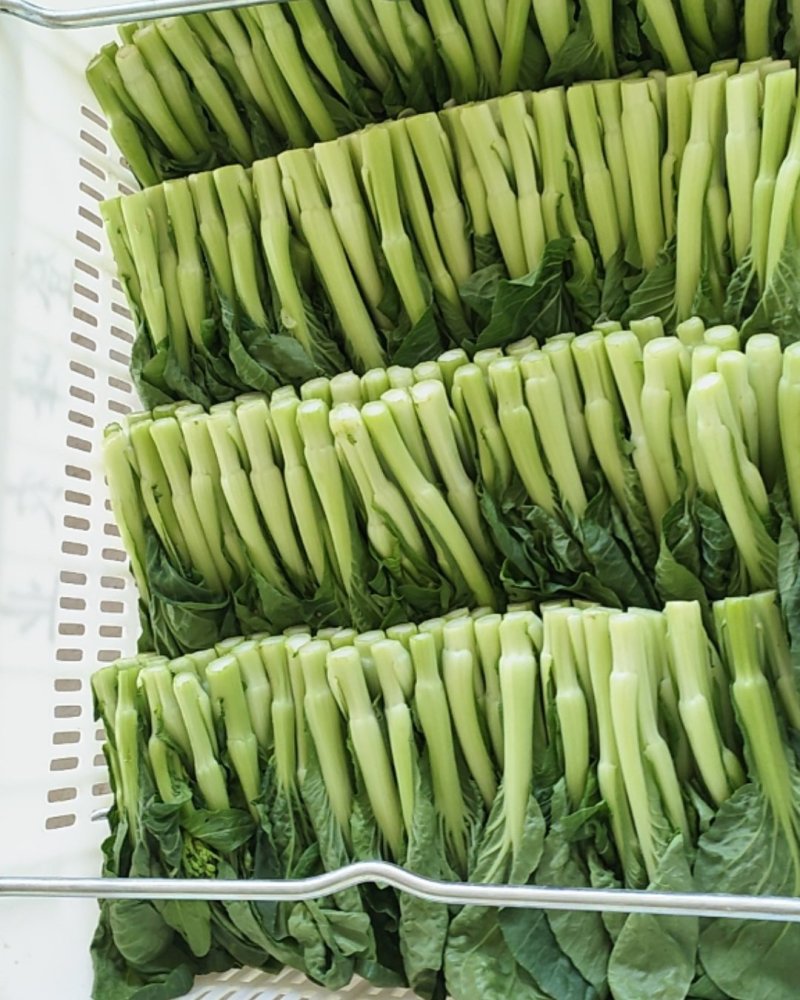 白菜苔秋香