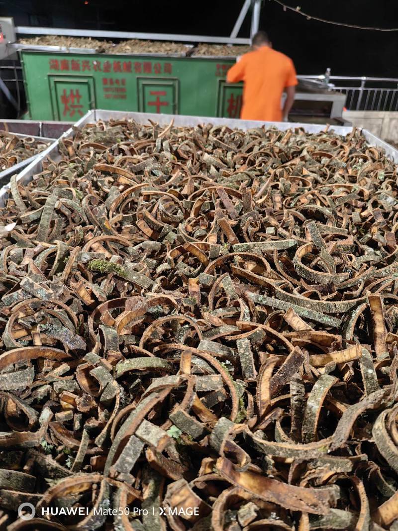 厚朴.厚朴丝.厚朴皮正宗湖南高山圆叶厚朴.原产地直供