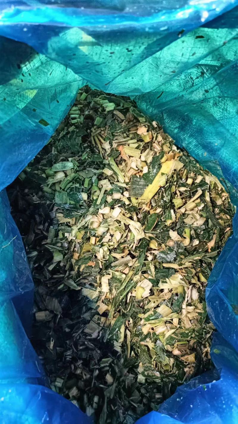 云南青储青贮常年供货牛羊饲料品质保证全国发货欢迎致电