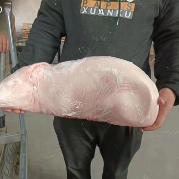 烤乳猪