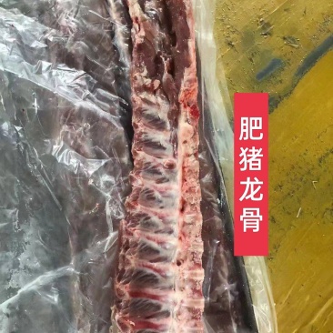 猪脊骨龙骨，纯干新货，全国发货，可看货可发样品！