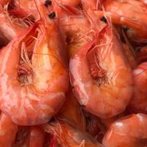 精品熟虾厂家直销一手货源批发南美白对虾斑节虾