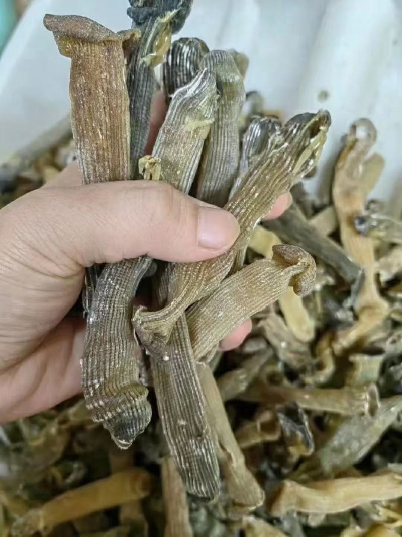 印尼沙虫干，纯淡干货，足干轻身，自然沙虫味道，产地直供。