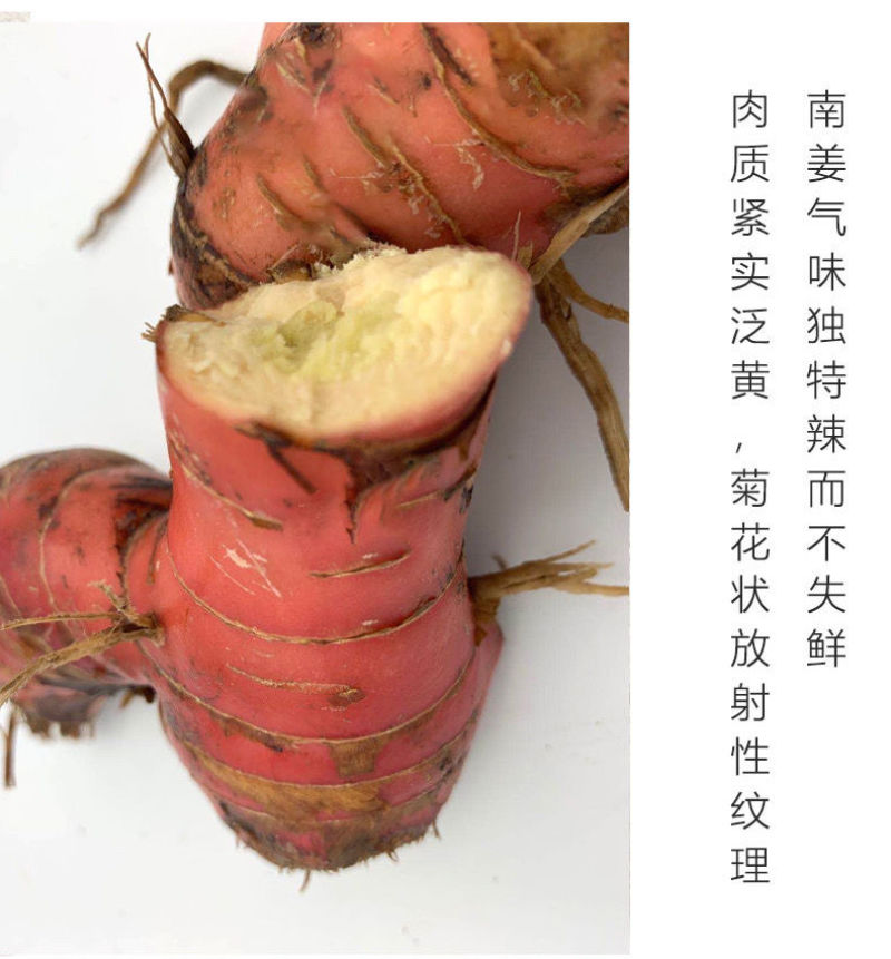 红皮南姜潮汕新鲜老南姜支持一斤全国包邮发货