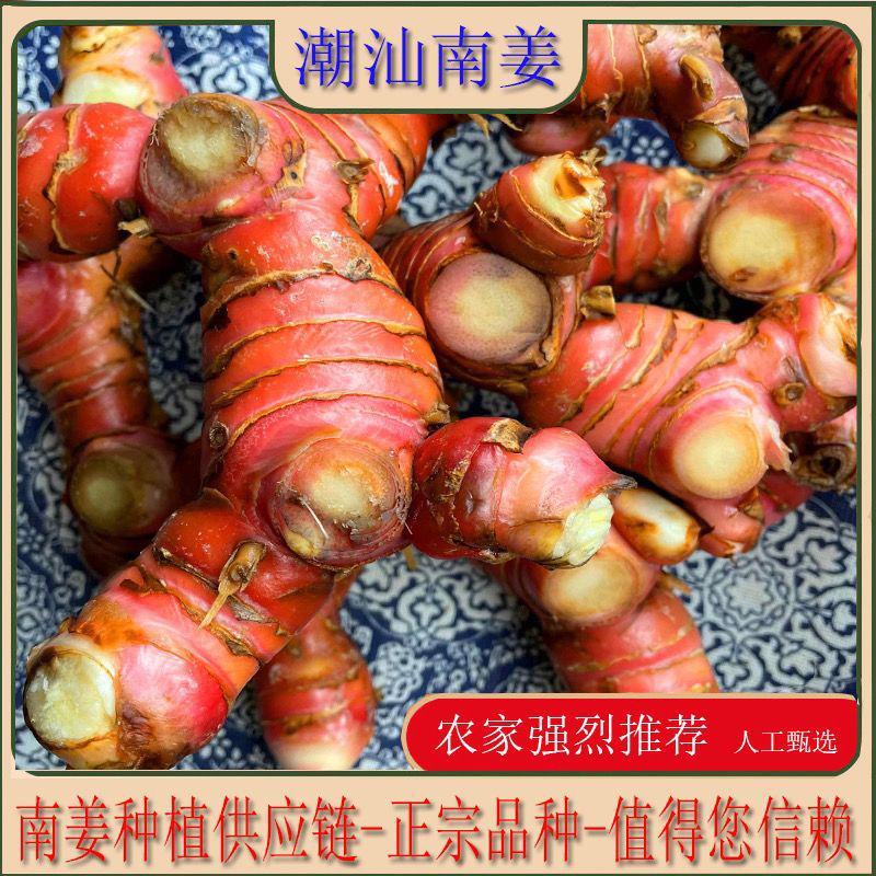 红皮南姜潮汕新鲜老南姜支持一斤全国包邮发货
