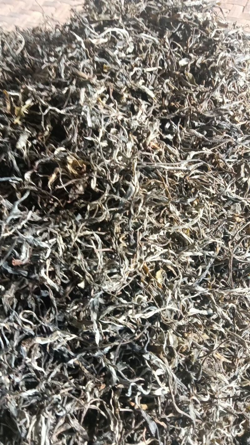高山云雾茶