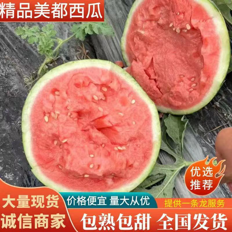 [美都西瓜批发]甘肃平凉泾川县西瓜 1.00元/斤【热】甘肃西瓜 _ 一亩田