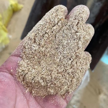 烘干豆渣新鲜豆渣脱水豆渣