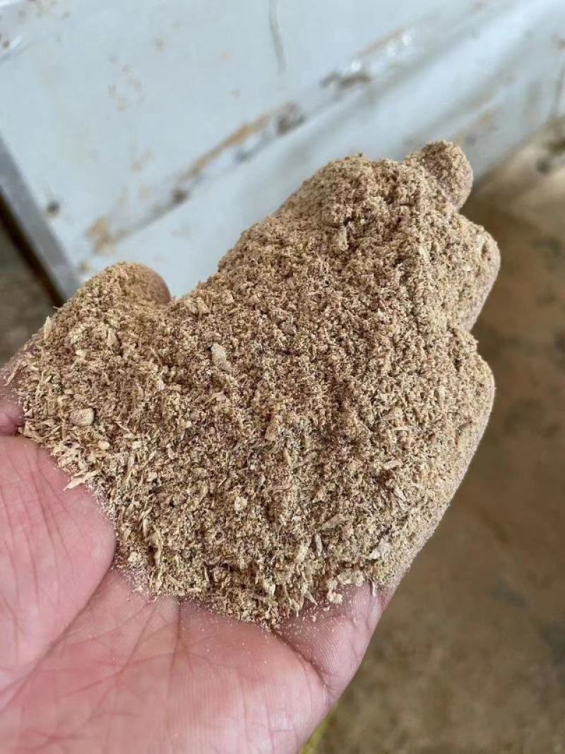 烘干豆渣新鲜豆渣脱水豆渣