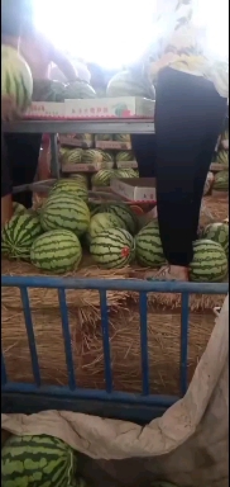美都热卖中欢迎各位老板选购！