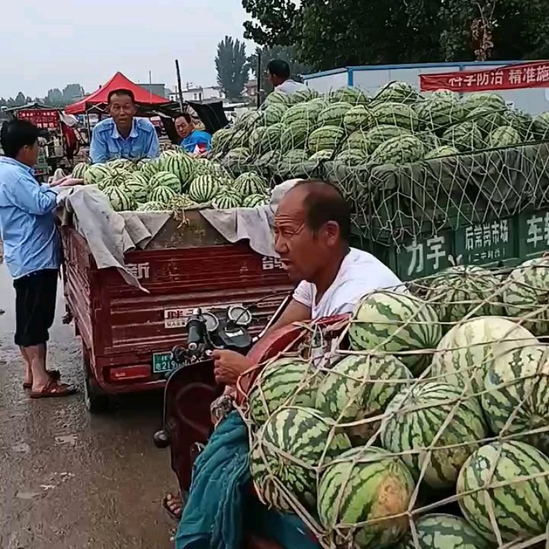美都热卖中欢迎各位老板选购！
