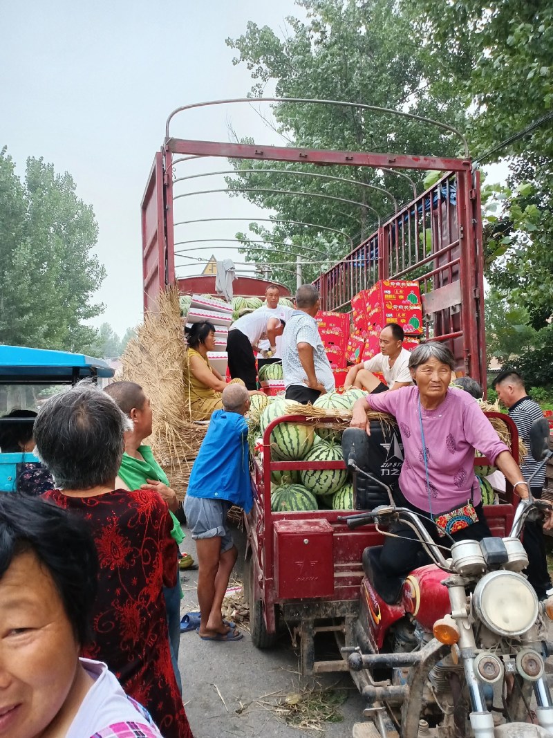 美都热卖中欢迎各位老板选购！