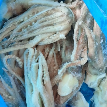 单冻鱿鱼须鱿鱼足市场化鲜零售