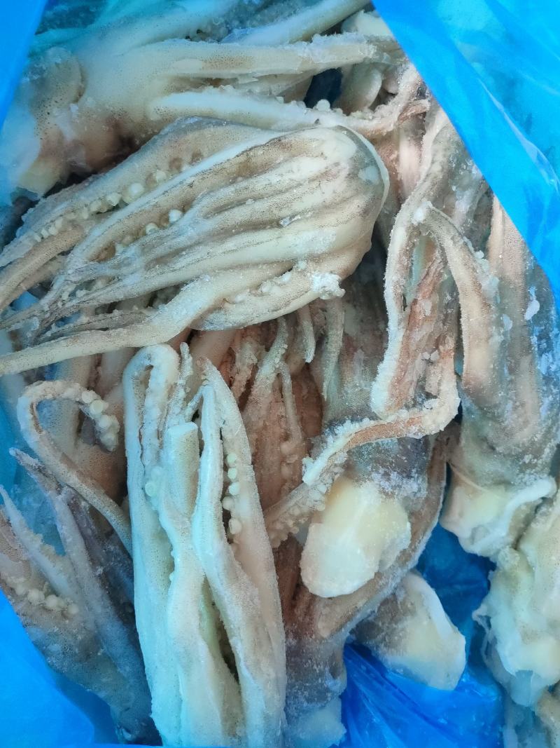 单冻鱿鱼须鱿鱼足市场化鲜零售