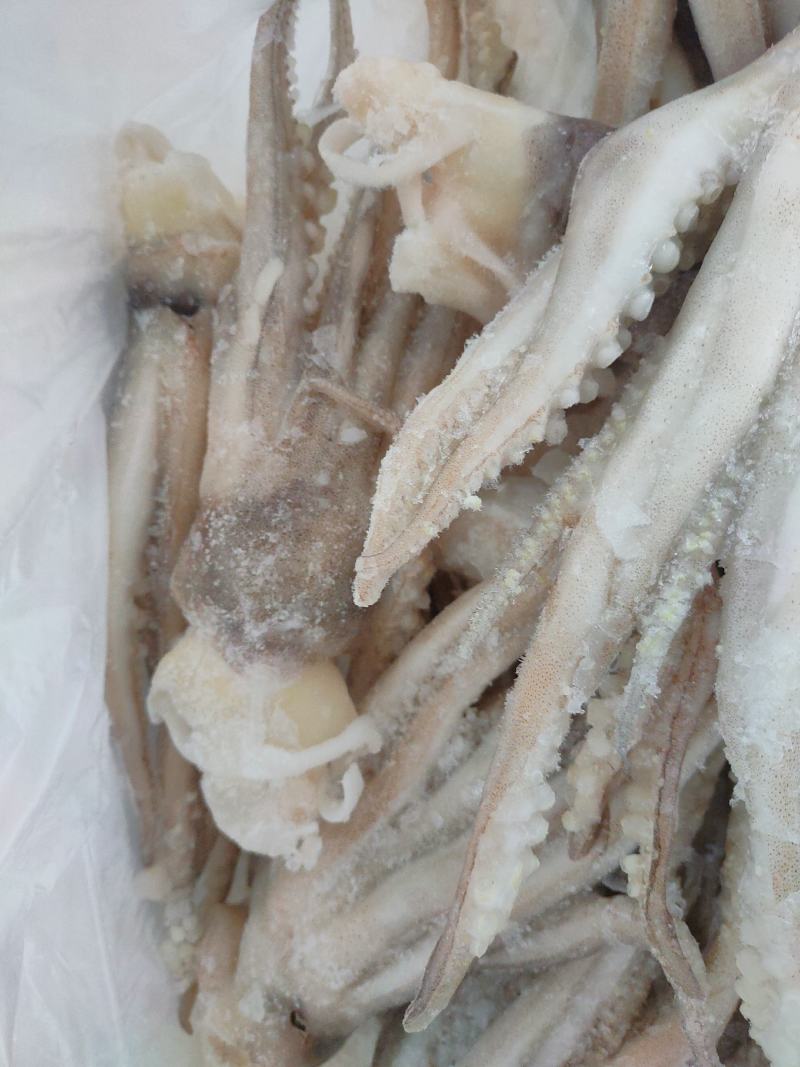 单冻鱿鱼须鱿鱼足市场化鲜零售