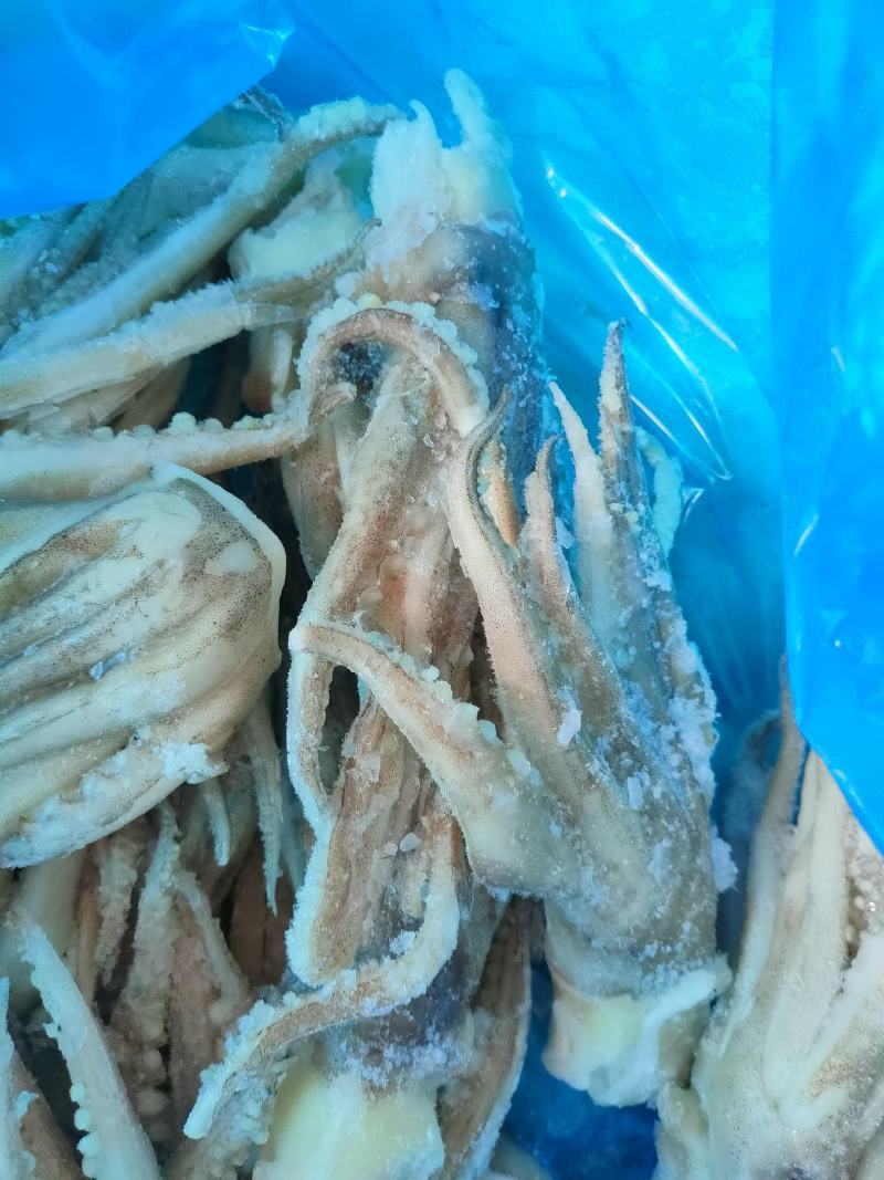 单冻鱿鱼须鱿鱼足市场化鲜零售