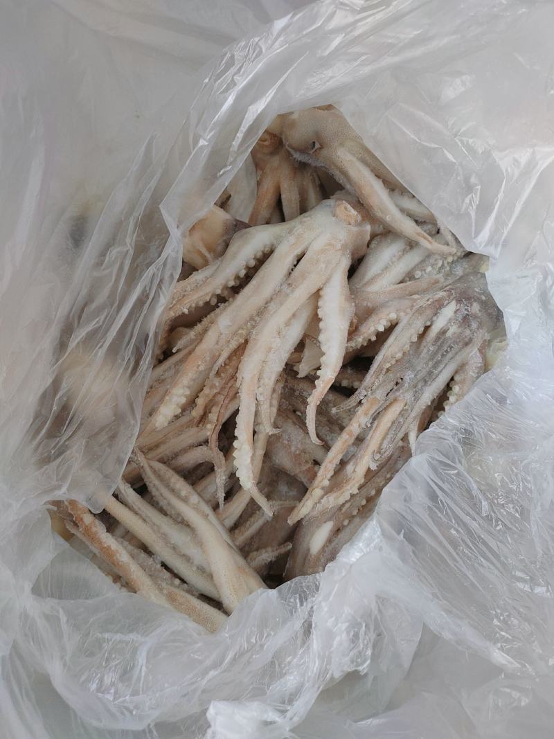 单冻鱿鱼须鱿鱼足市场化鲜零售