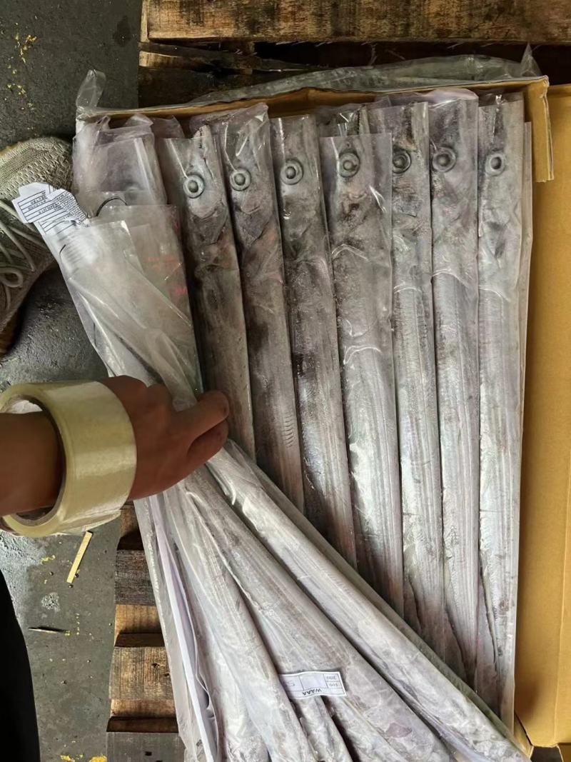 单条套带子钓带保质保量货源充足，连云港直发