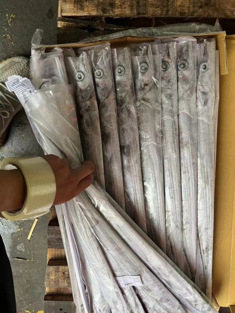 单条套带子钓带保质保量货源充足，连云港直发
