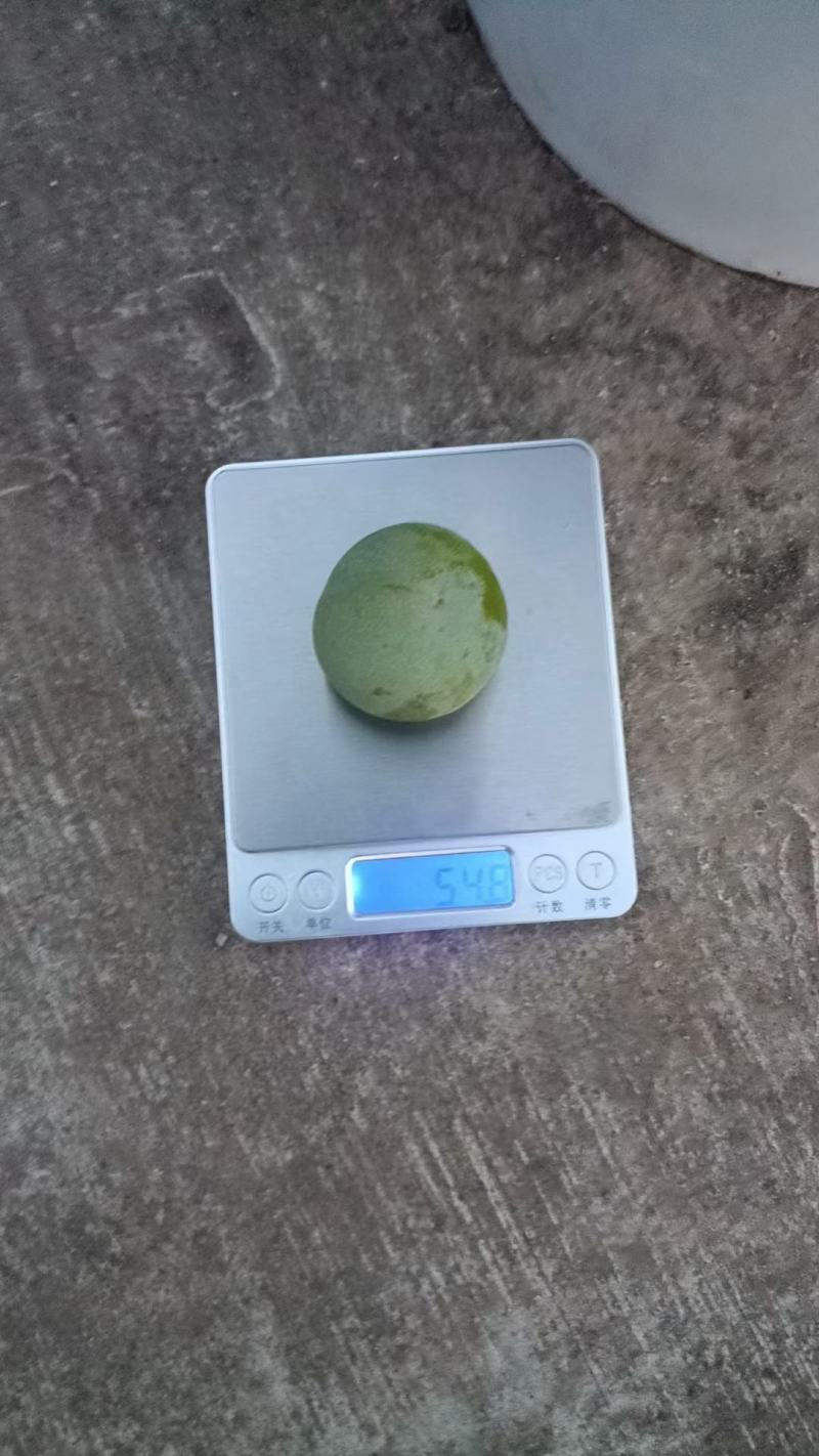 翠冠梨大青梨皮薄馅小有画渣基地产地直接发货