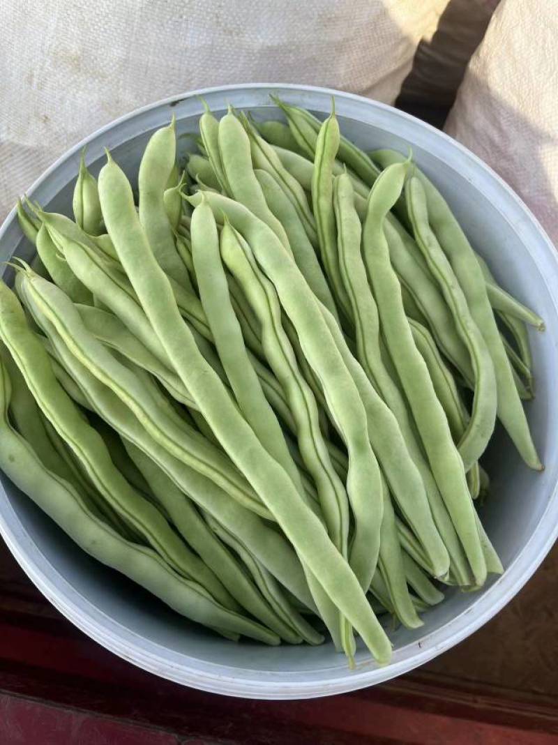 货量大，包装全，专业打包团队
